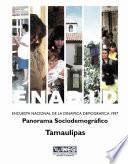 libro Enadid. Encuesta Nacional De La Dinámica Demográfica 1997. Panorama Sociodemográfico. Tamaulipas